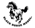 Black Horse